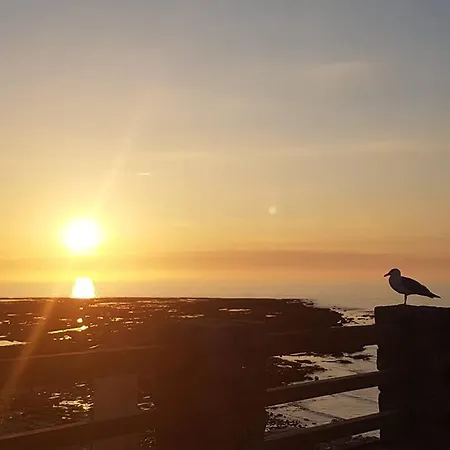 Gitedesdalles 3 épis Avec Terrasse Vue Hébergement de vacances *