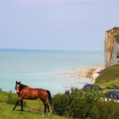 Gitedesdalles 3 épis Avec Terrasse Vue Hébergement de vacances Grandes Dalles